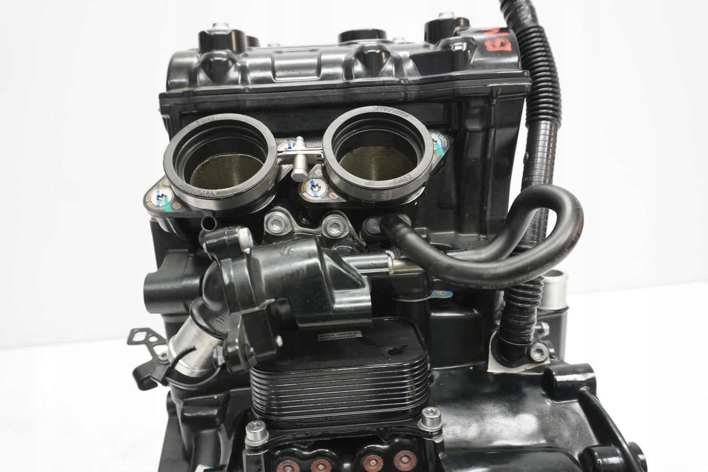 BMW F 900 R 20- Motor Motorblock Engine 10