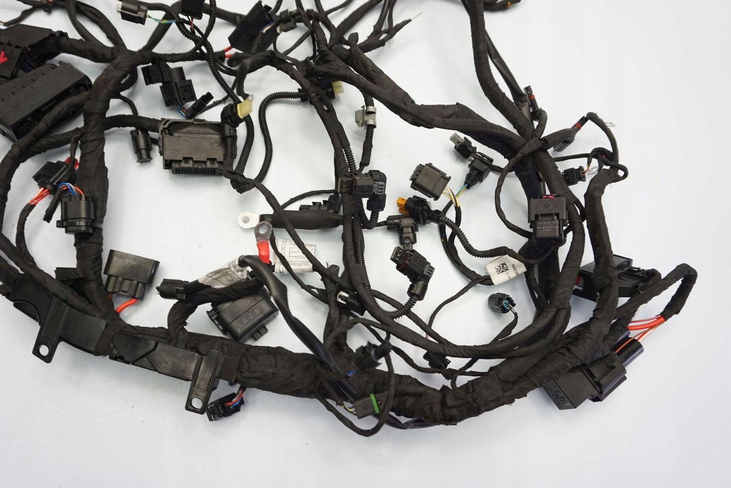 BMW F 900 R 20- Kabelbaum Wiring Harness 14