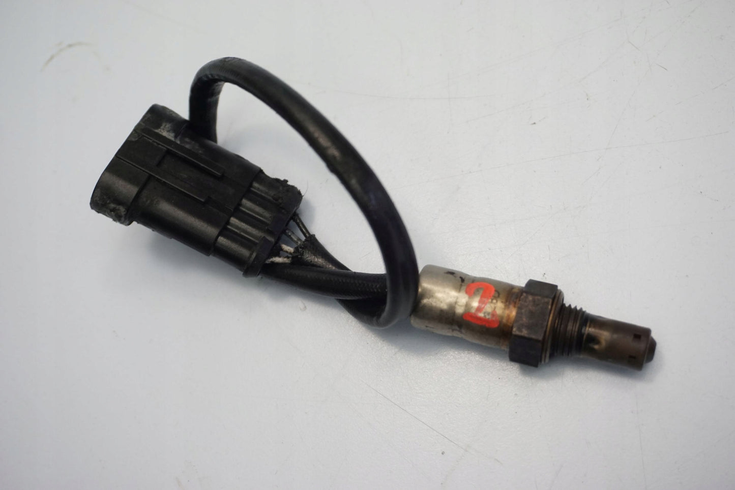 APRILIA TUONO V4 1100 FACTORY 19- Lambdasonde O2 Sensor Sonde Sonda Lambda 2
