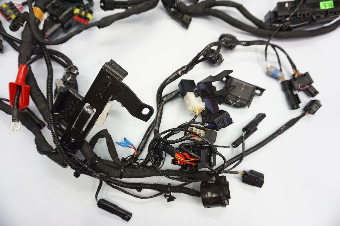 BMW G 310 GS 17- Kabelbaum Wiring Harness 15