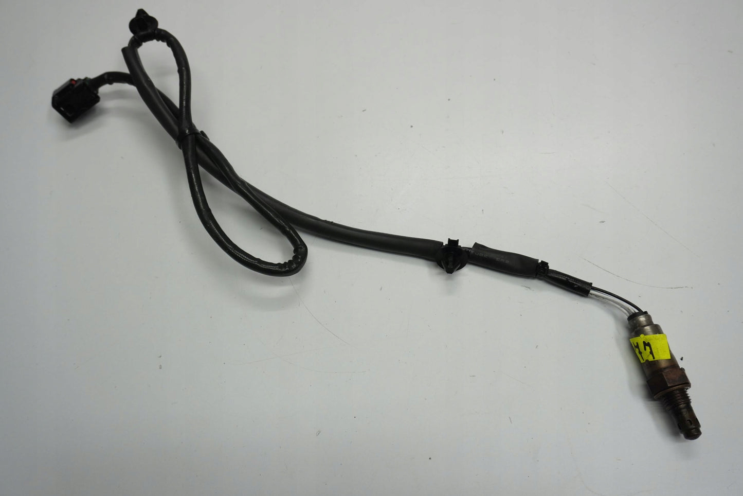 HONDA XL 750 TRANSALP 23- Lambdasonde O2 Sensor Sonde Sonda Lambda 6