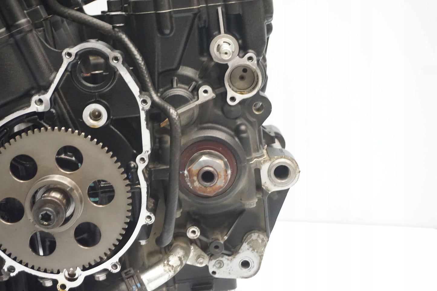 TRIUMPH TIGER 900 RALLY 20- Motor Motorblock Engine 11