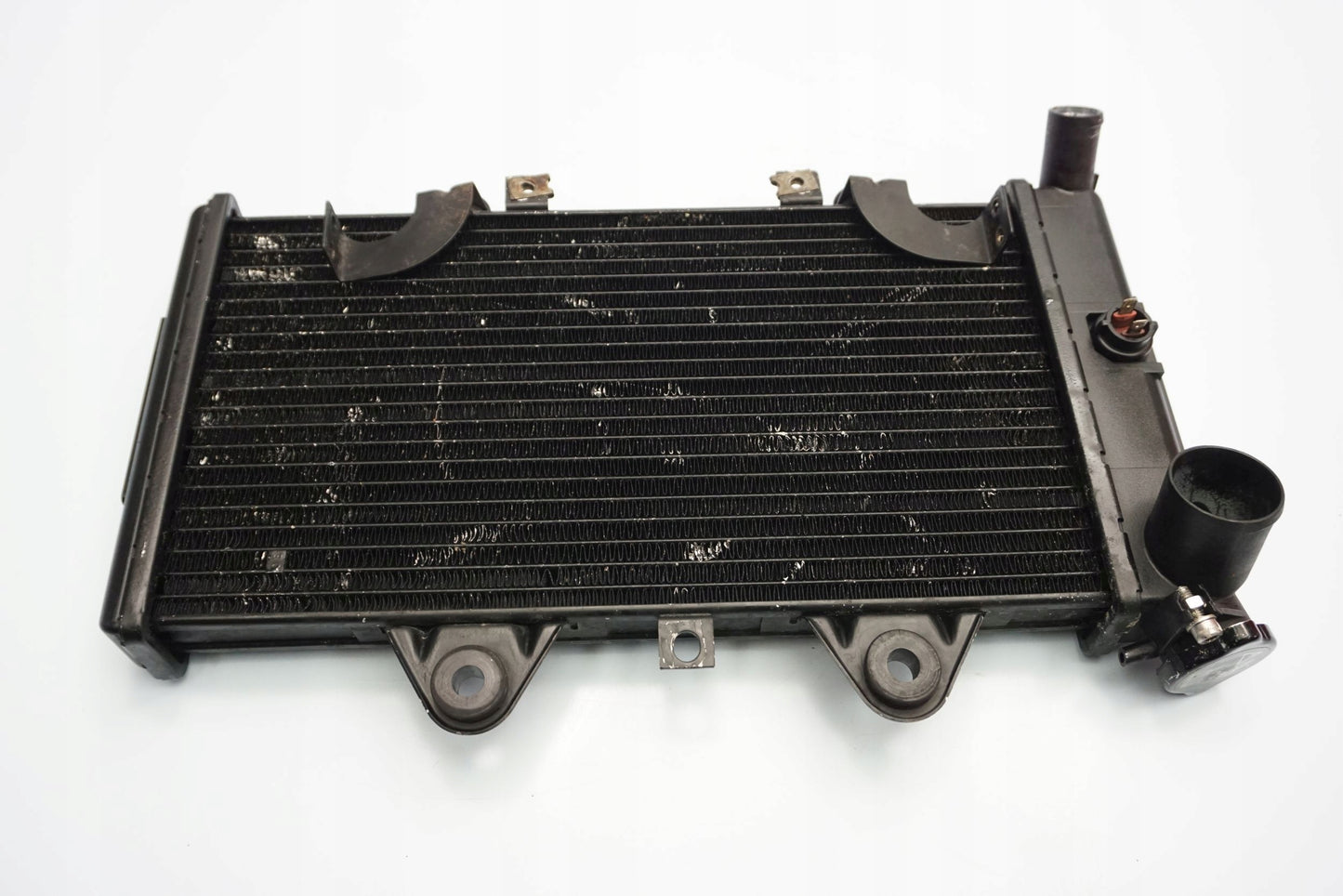 TRIUMPH TROPHY 1200 96-02 Wasserkühler Kühler Radiator 8