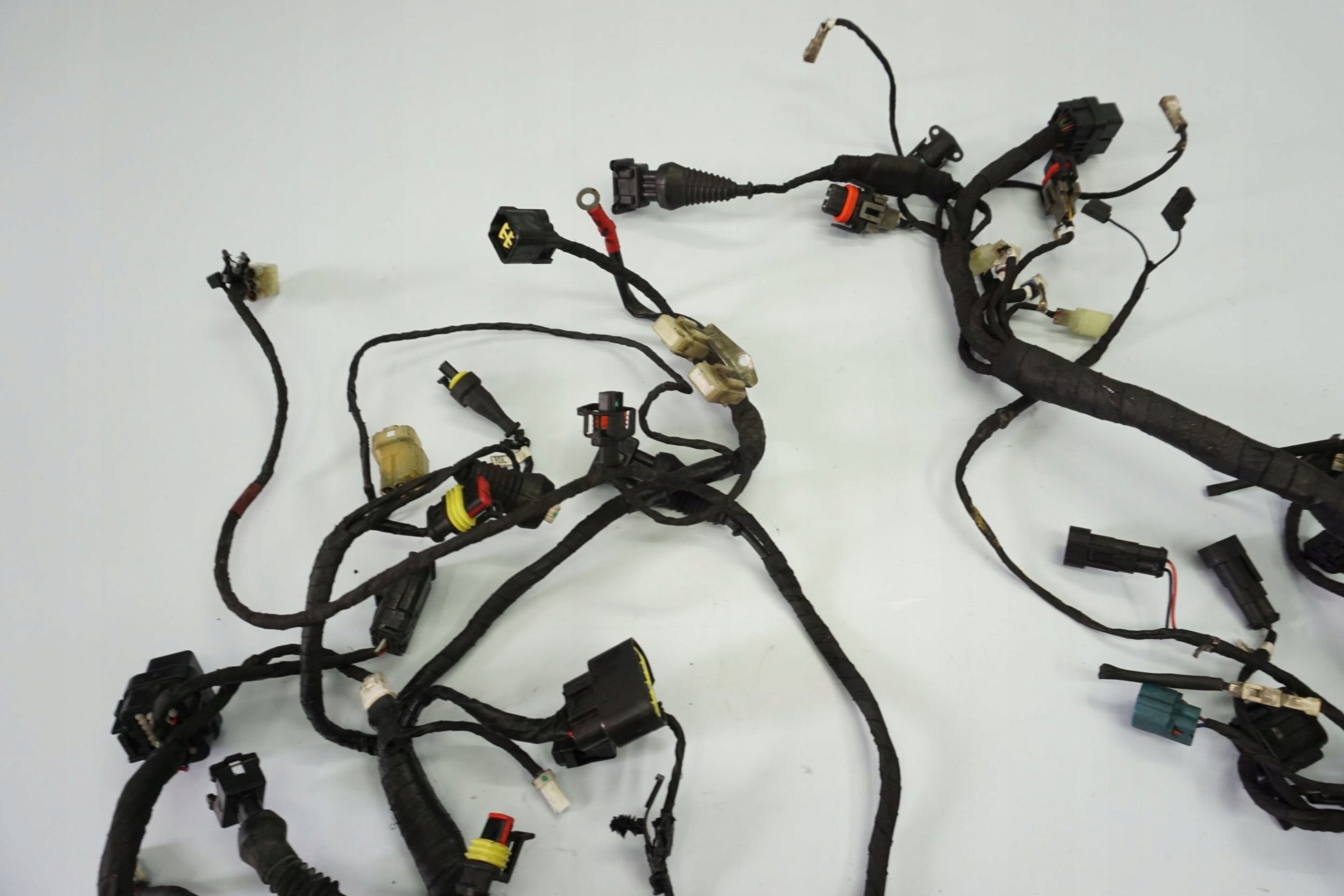 DUCATI SUPERSPORT 937 17- Kabelbaum Wiring Harness 15
