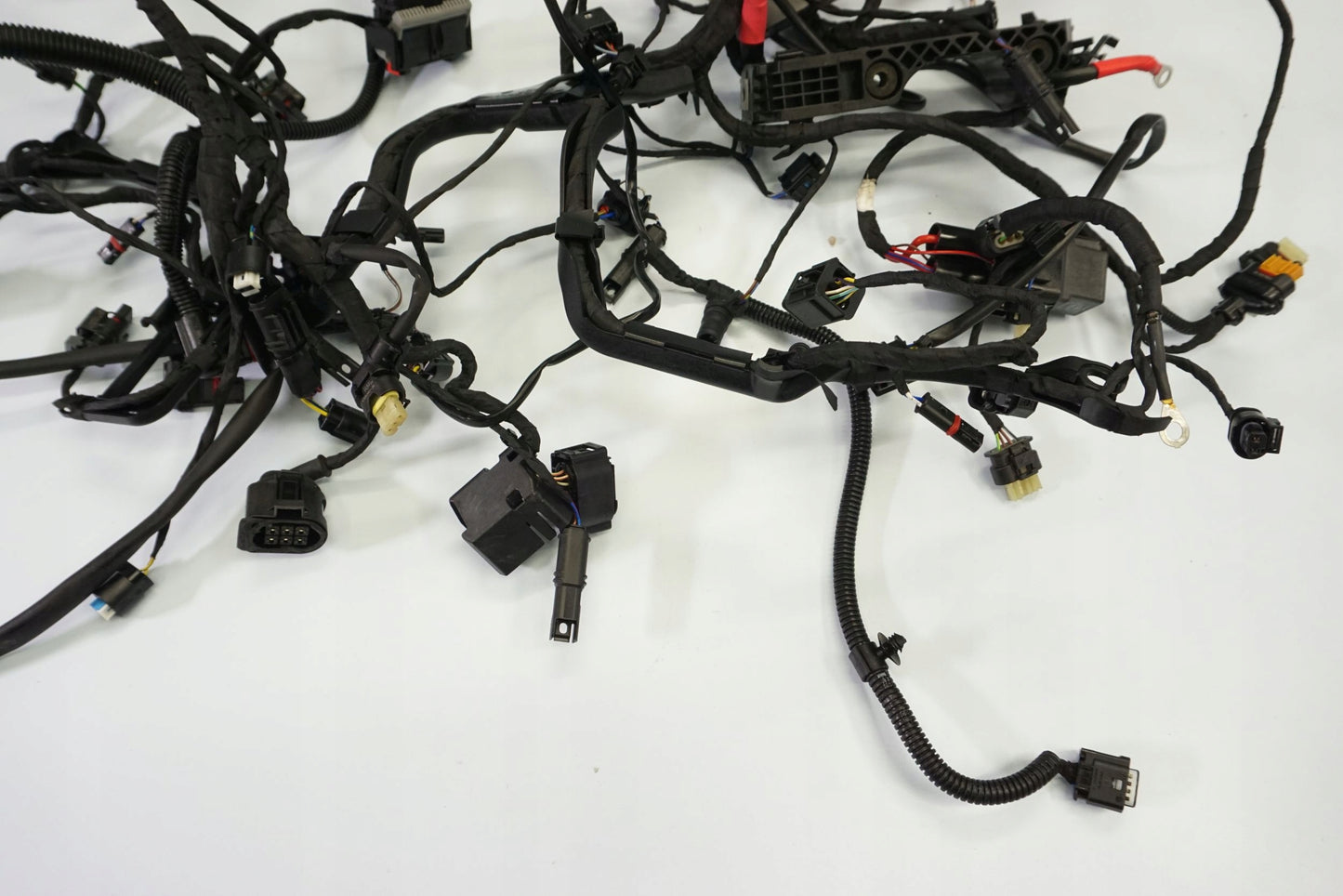 BMW R 1250 R 18- Kabelbaum Wiring Harness 7