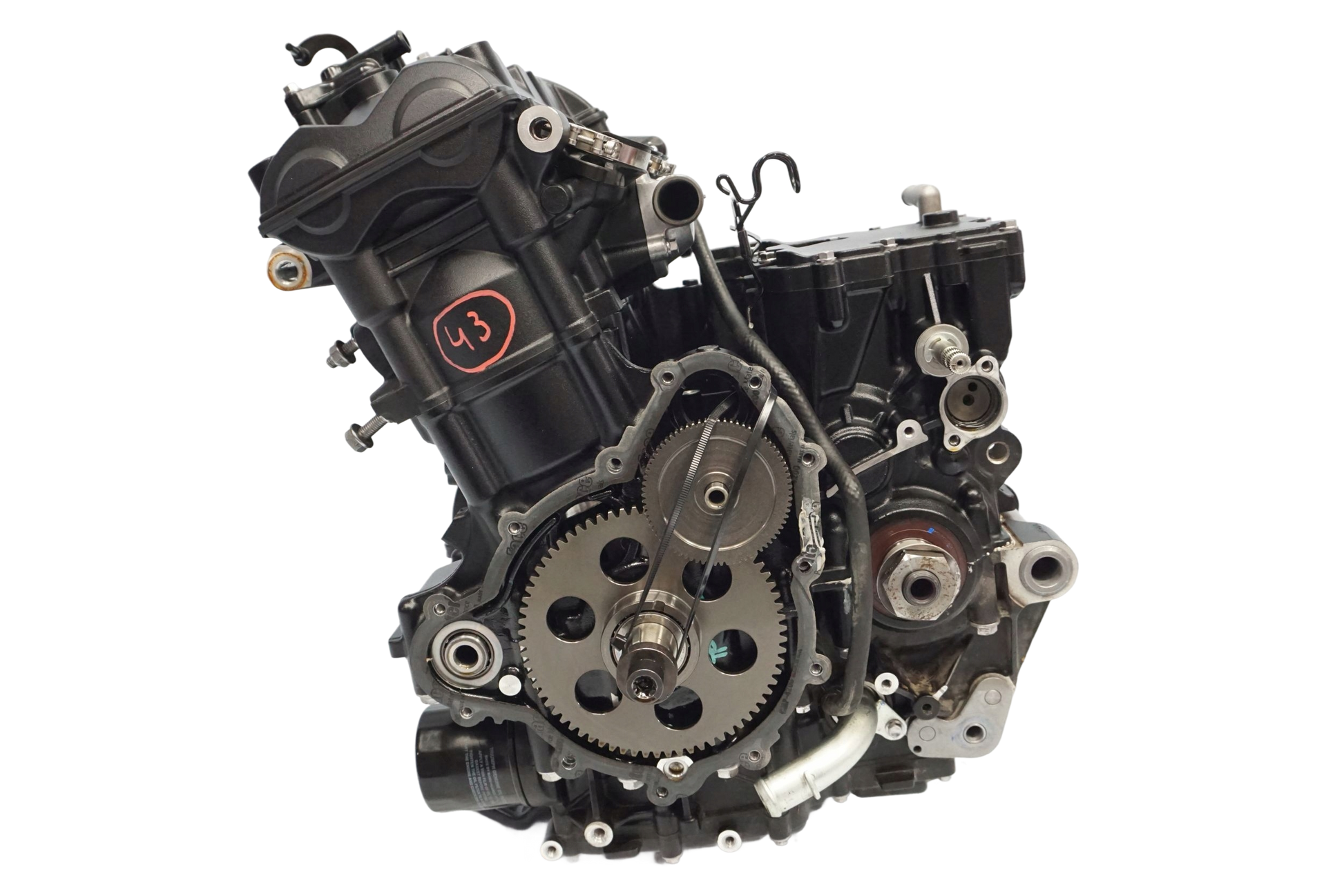 TRIUMPH TIGER 900 RALLY PRO 20- Motor Motorblock Engine 1