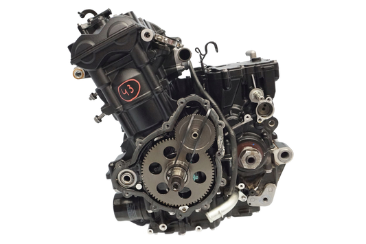 TRIUMPH TIGER 900 RALLY PRO 20- Motor Motorblock Engine 1