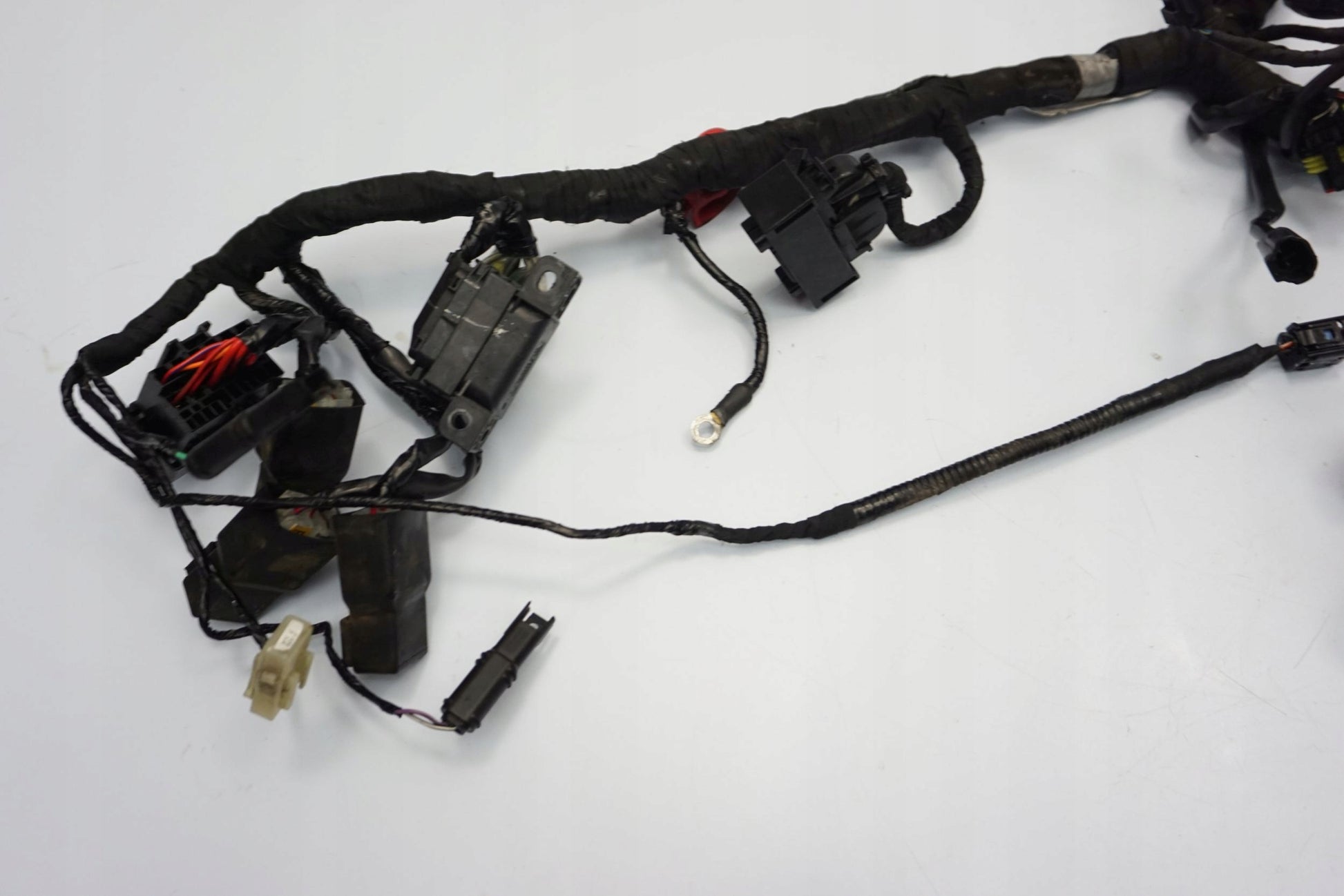 BMW G 310 GS 17- Kabelbaum Wiring Harness 7