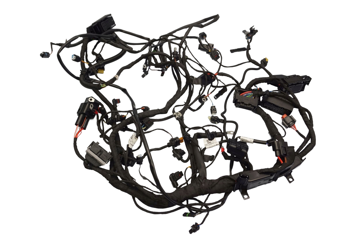 BMW F 900 R 20- Kabelbaum Wiring Harness 1