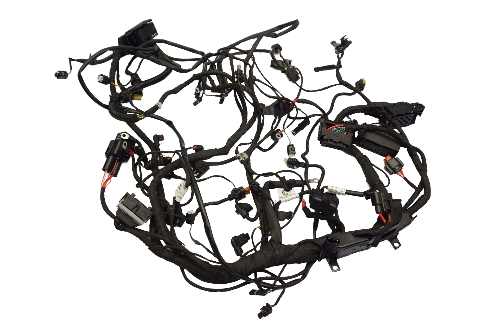 BMW F 900 R 20- Kabelbaum Wiring Harness 1