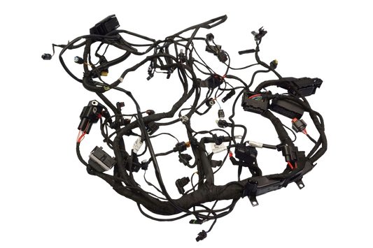 BMW F 900 R 20- Kabelbaum Wiring Harness 1