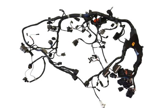 TRIUMPH TIGER SPORT 1050 16- Kabelbaum Wiring Harness 1