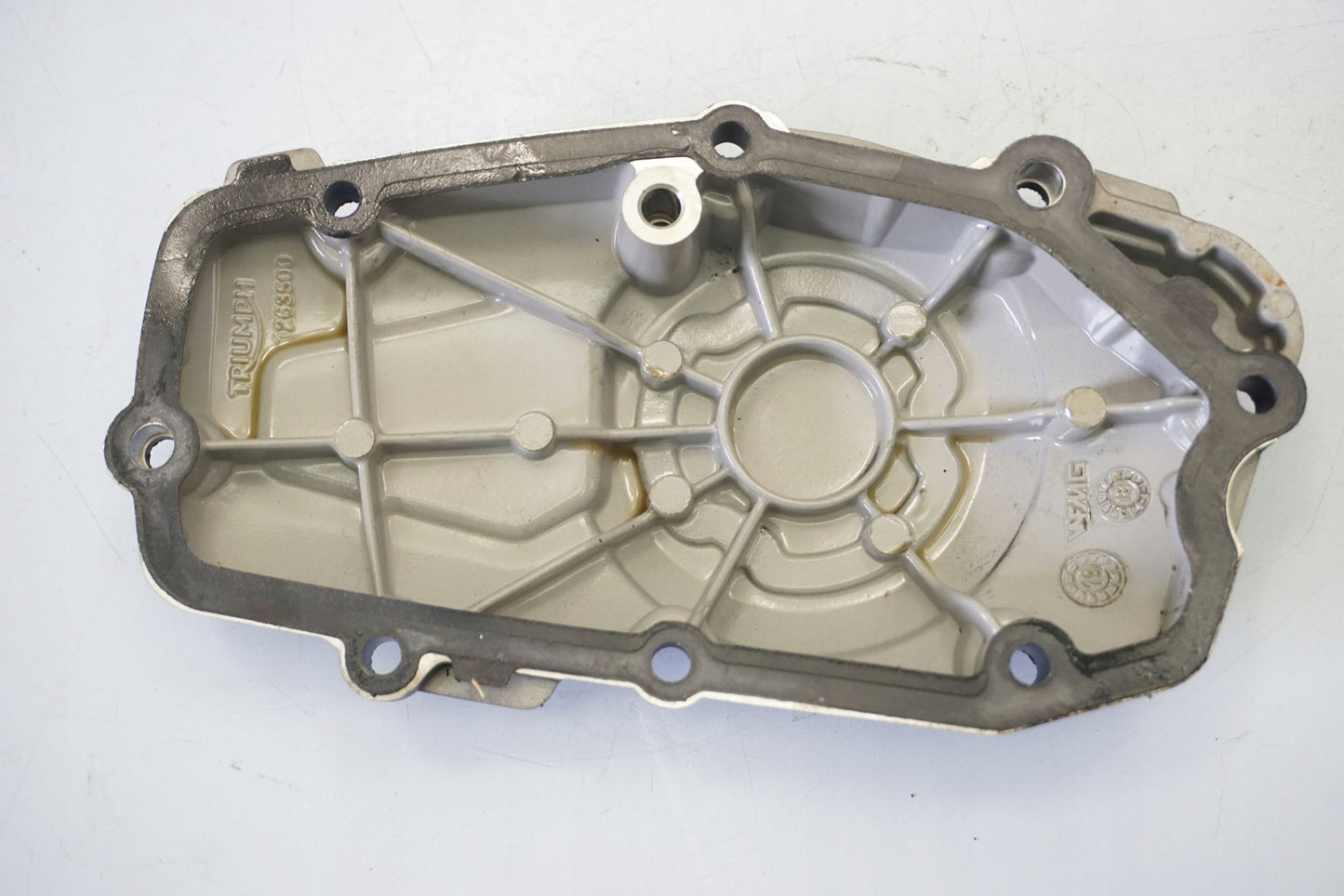 TRIUMPH TIGER 900 RALLY 20- Motordeckel Engine Cover