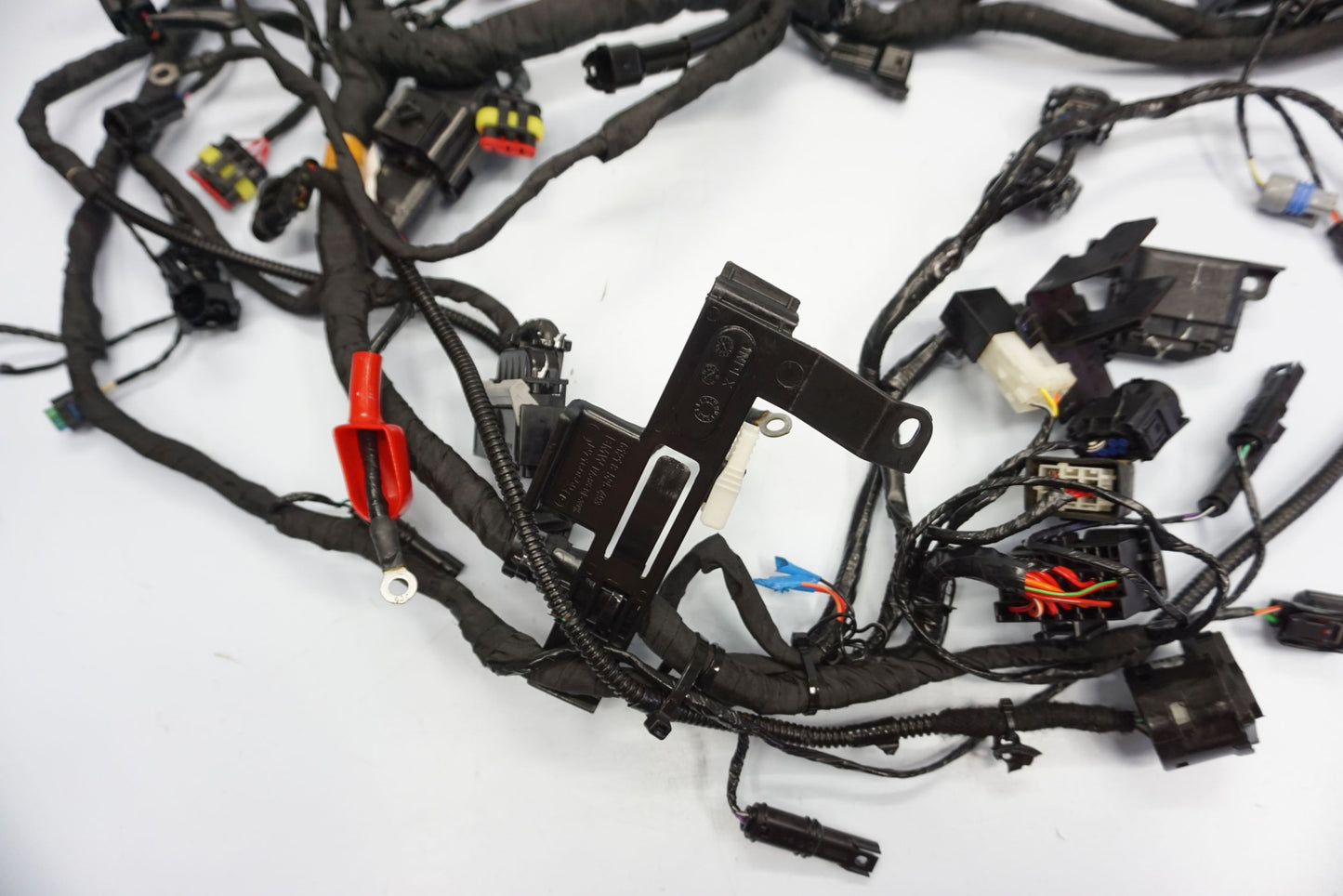 BMW G 310 GS 17- Kabelbaum Wiring Harness 13