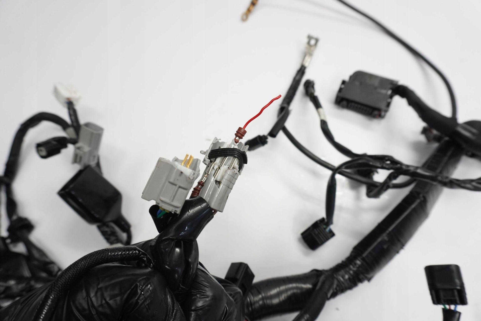 KAWASAKI ZX-10R 1000 23- Kabelbaum Wiring Harness 12