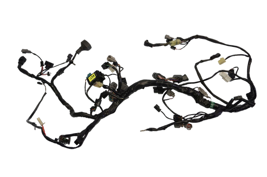 KAWASAKI 650 ER-6N 12-17 Kabelbaum Wiring Harness 1