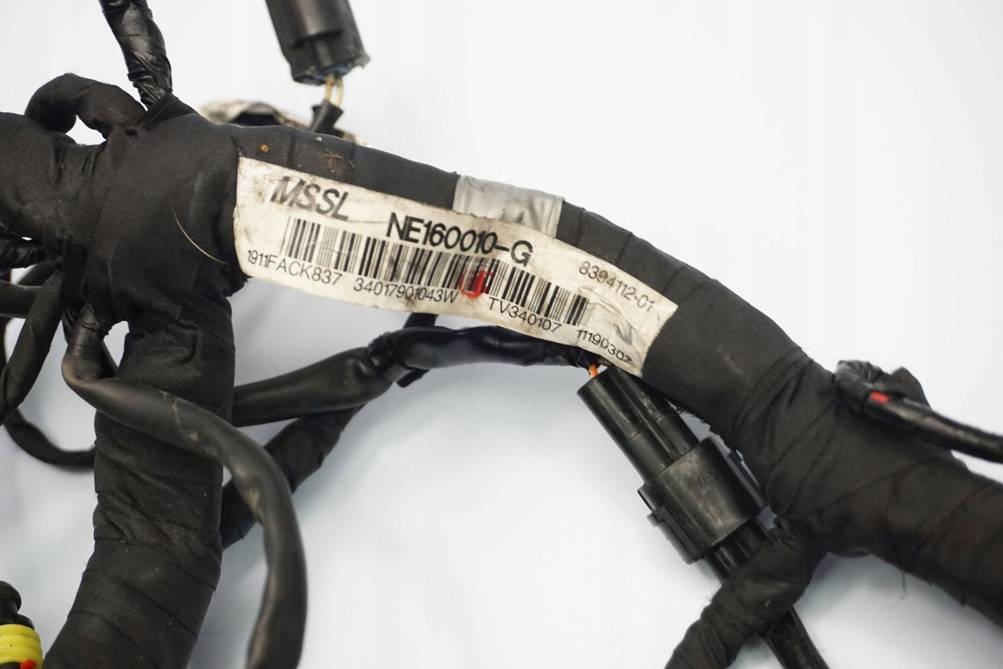 BMW G 310 GS 17- Kabelbaum Wiring Harness 2