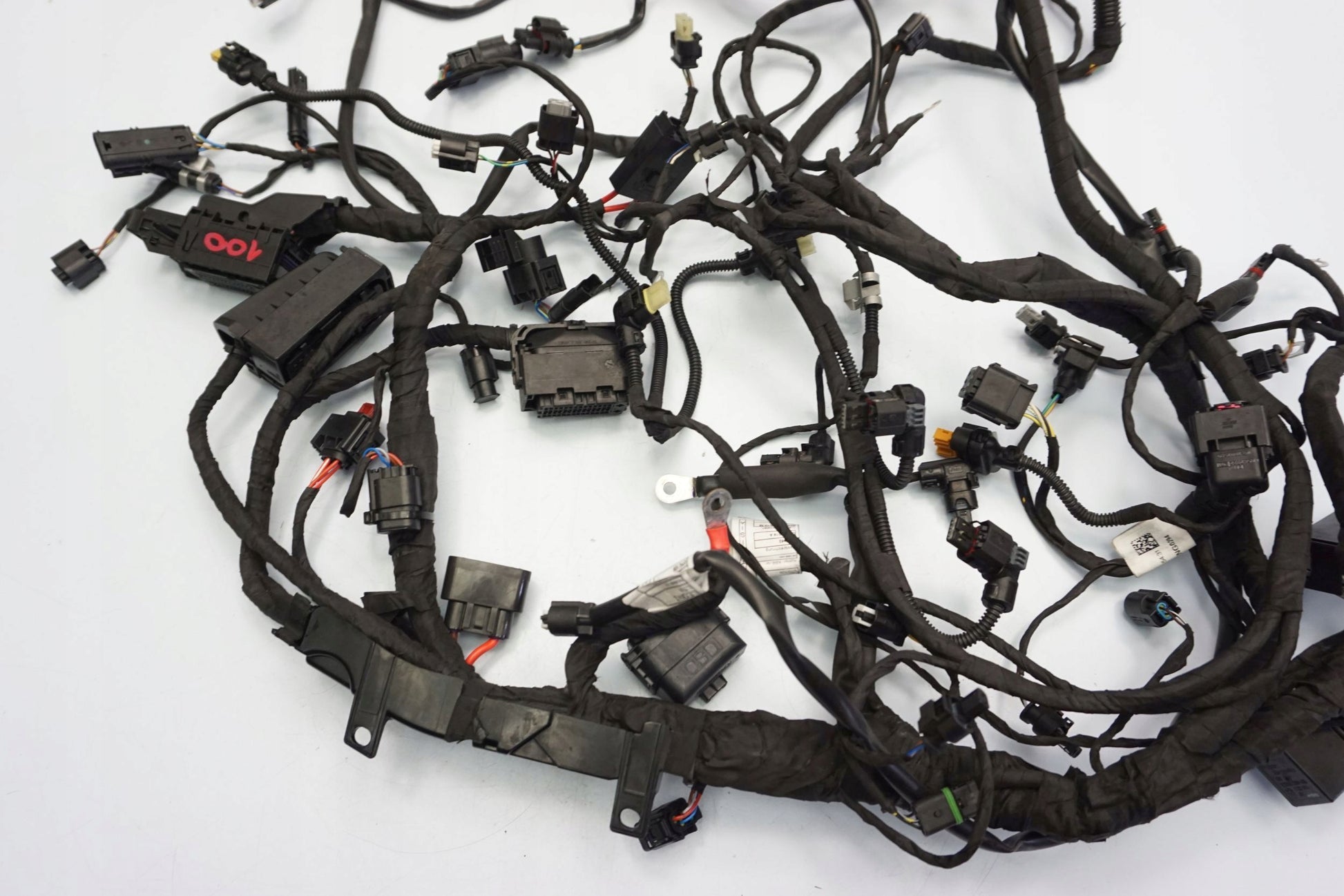 BMW F 900 R 20- Kabelbaum Wiring Harness 11