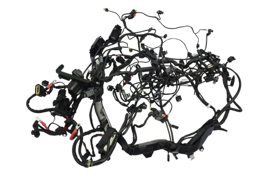 BMW R 1250 GS ADVENTURE 19- Kabelbaum Wiring Harness 1