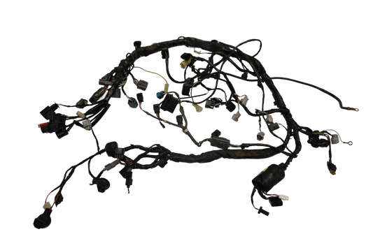 KAWASAKI Z 750 07-13 Kabelbaum Wiring Harness 1