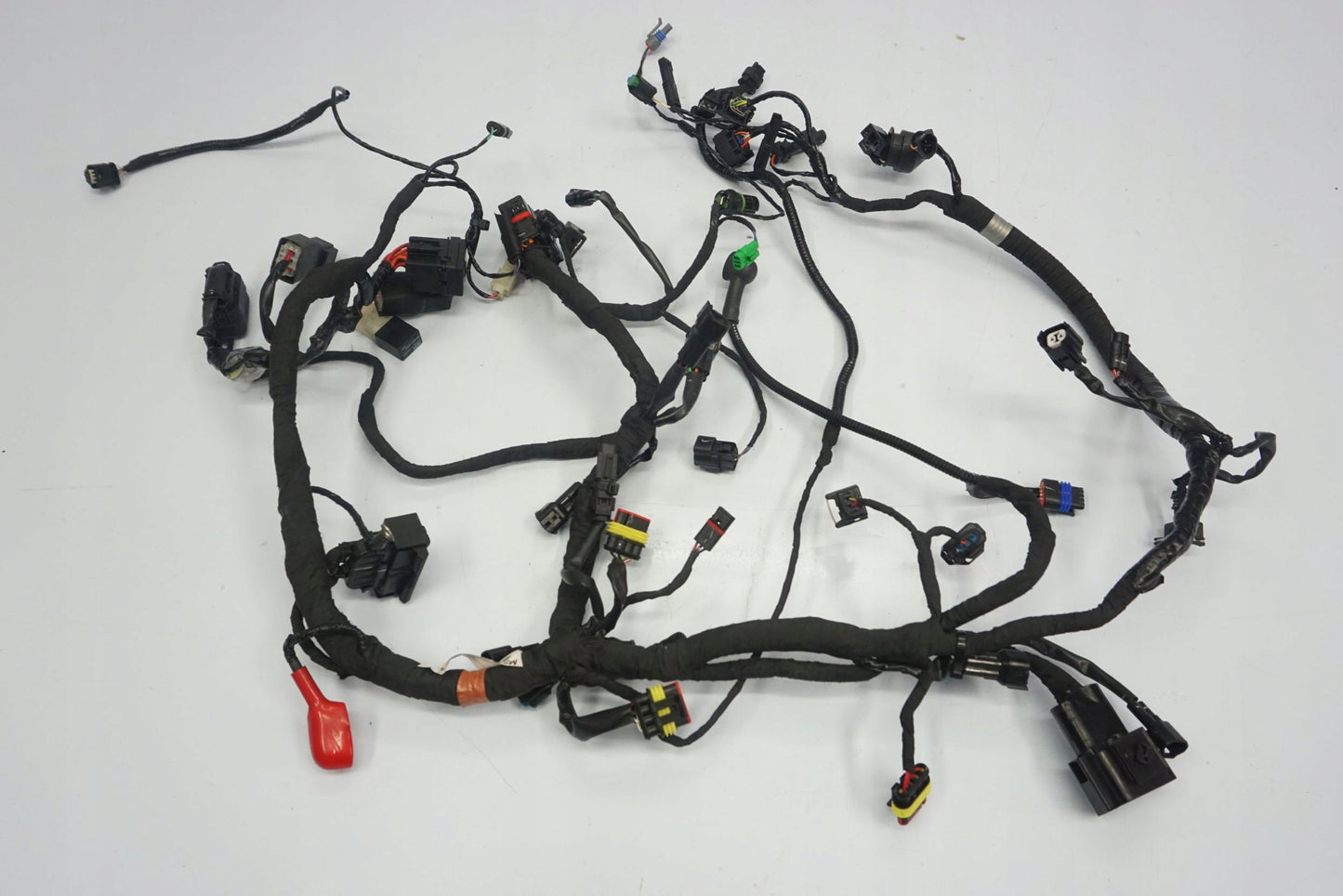 BMW G 310 R 16- Kabelbaum Wiring Harness 3