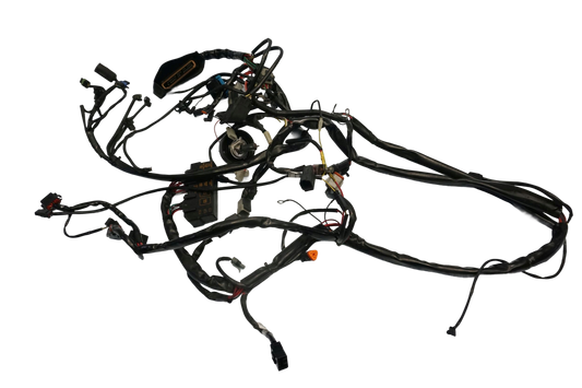 HARLEY DAVIDSON ROAD KING 1450 99-06 Kabelbaum Wiring Harness 1