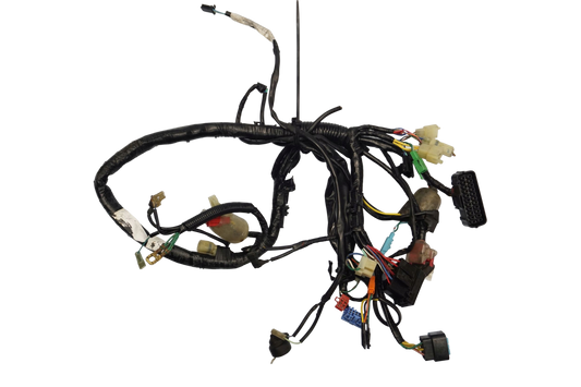 HONDA VT 750 DC SHADOW 00-07 Kabelbaum Wiring Harness 1