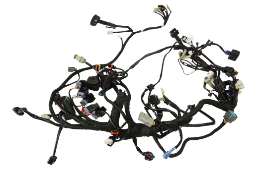 KTM 790 ADVENTURE R 19- Kabelbaum Wiring Harness 1