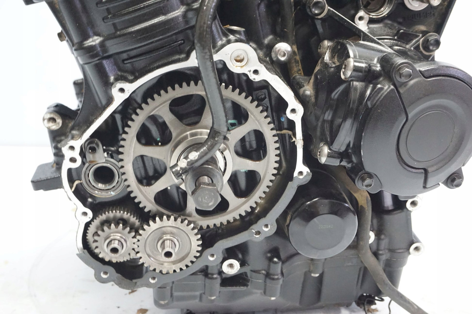 TRIUMPH TIGER 1200 RALLY EXPLORER 22- Motor Motorblock Engine 11