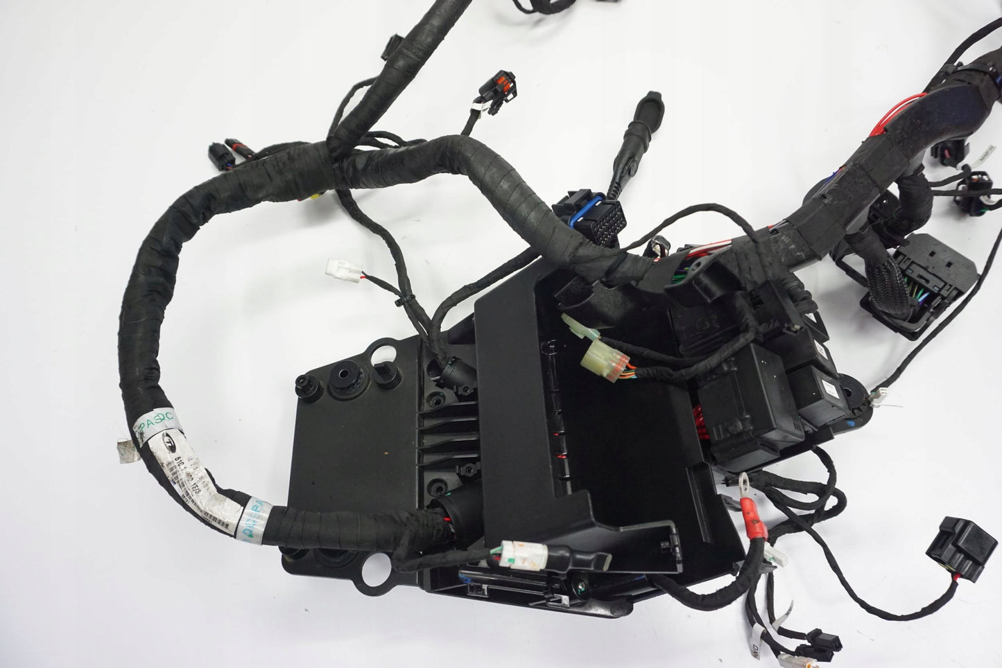 DUCATI MONSTER 937 21- Kabelbaum Wiring Harness 8