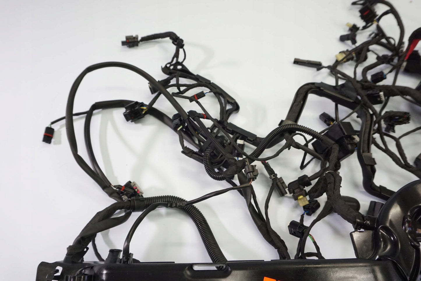 BMW R 1250 R 18- Kabelbaum Wiring Harness 3