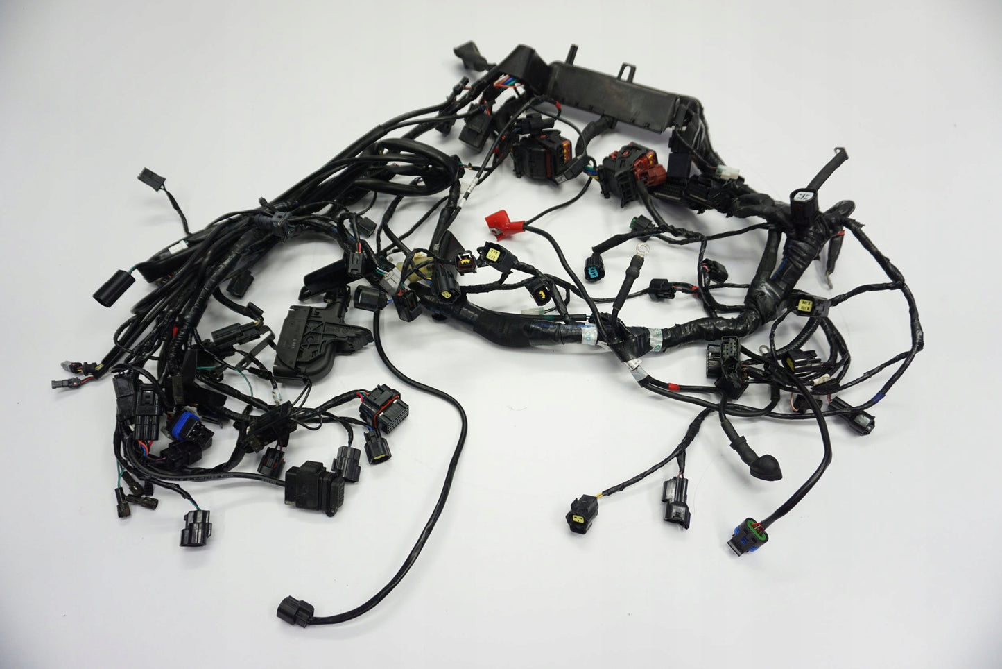 TRIUMPH TIGER 1200 XRT 18- Kabelbaum Wiring Harness 13