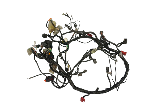 HONDA CBF 1000 SC58 06-09 Kabelbaum Wiring Harness 1