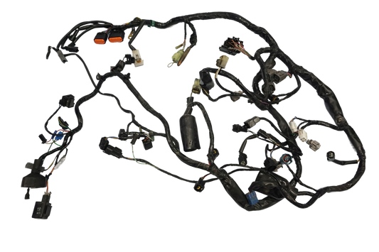 KAWASAKI VERSYS 650 10-14 Kabelbaum Wiring Harness 1