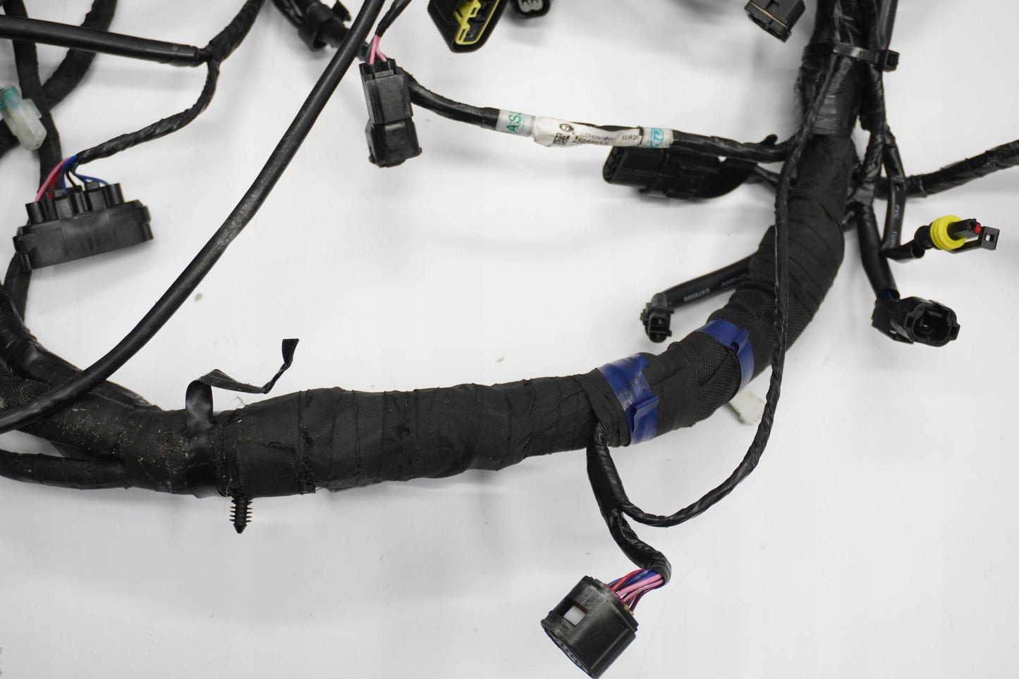 TRIUMPH TRIDENT 660 21- Kabelbaum Wiring Harness 3