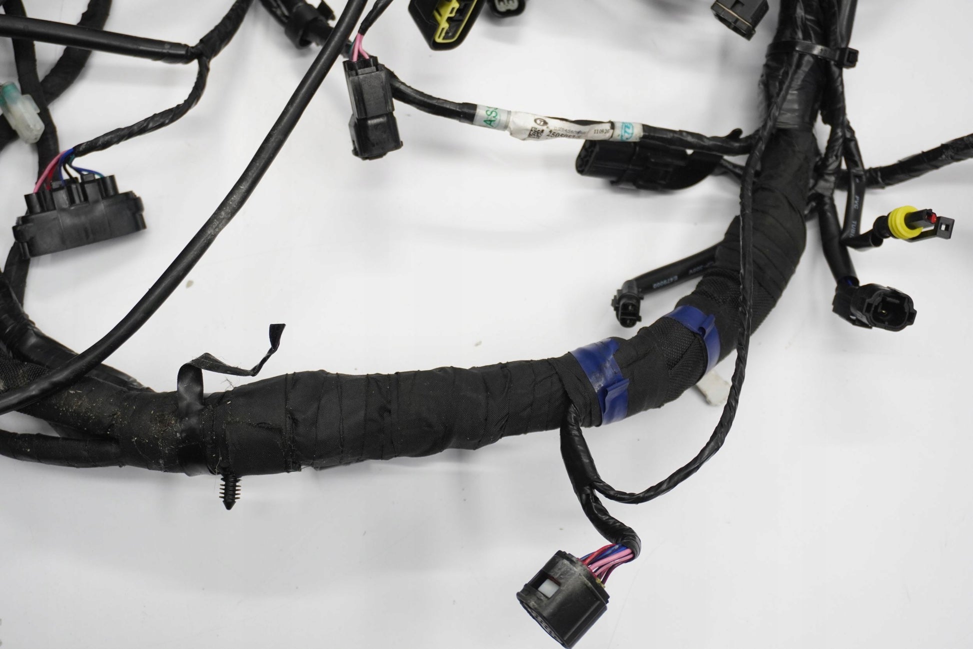 TRIUMPH TRIDENT 660 21- Kabelbaum Wiring Harness 3