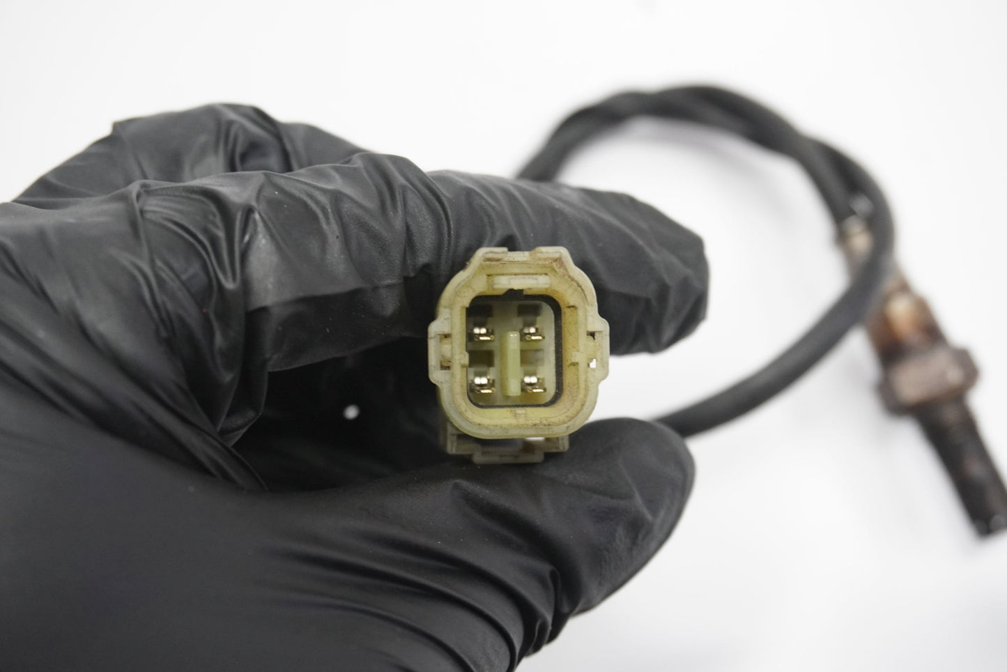 HONDA CBR 600 F4i PC35 01-06 Lambdasonde O2 Sensor Sonde Sonda Lambda 3