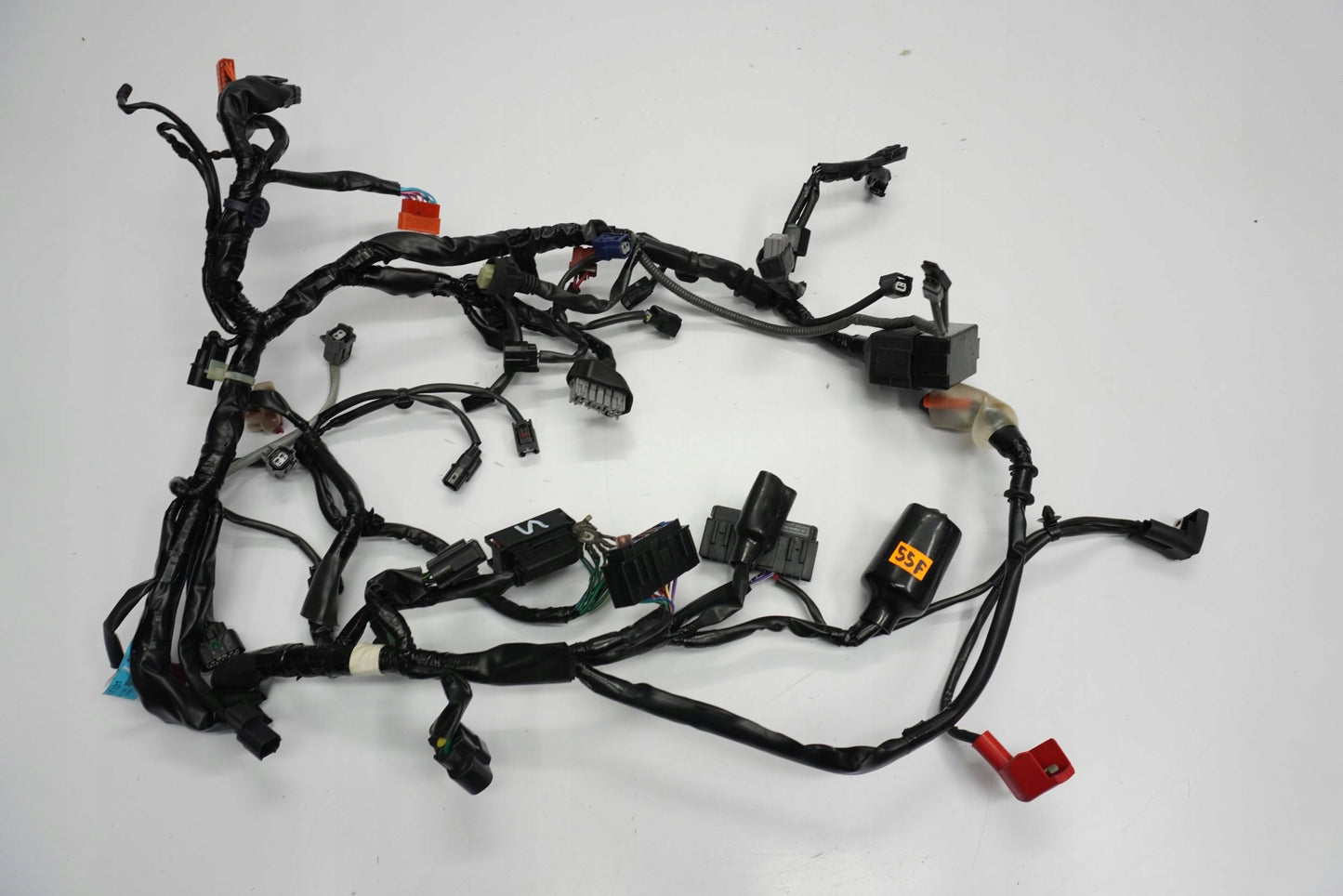 TRIUMPH STREET TRIPLE 765 17-19 Kabelbaum Wiring Harness 2