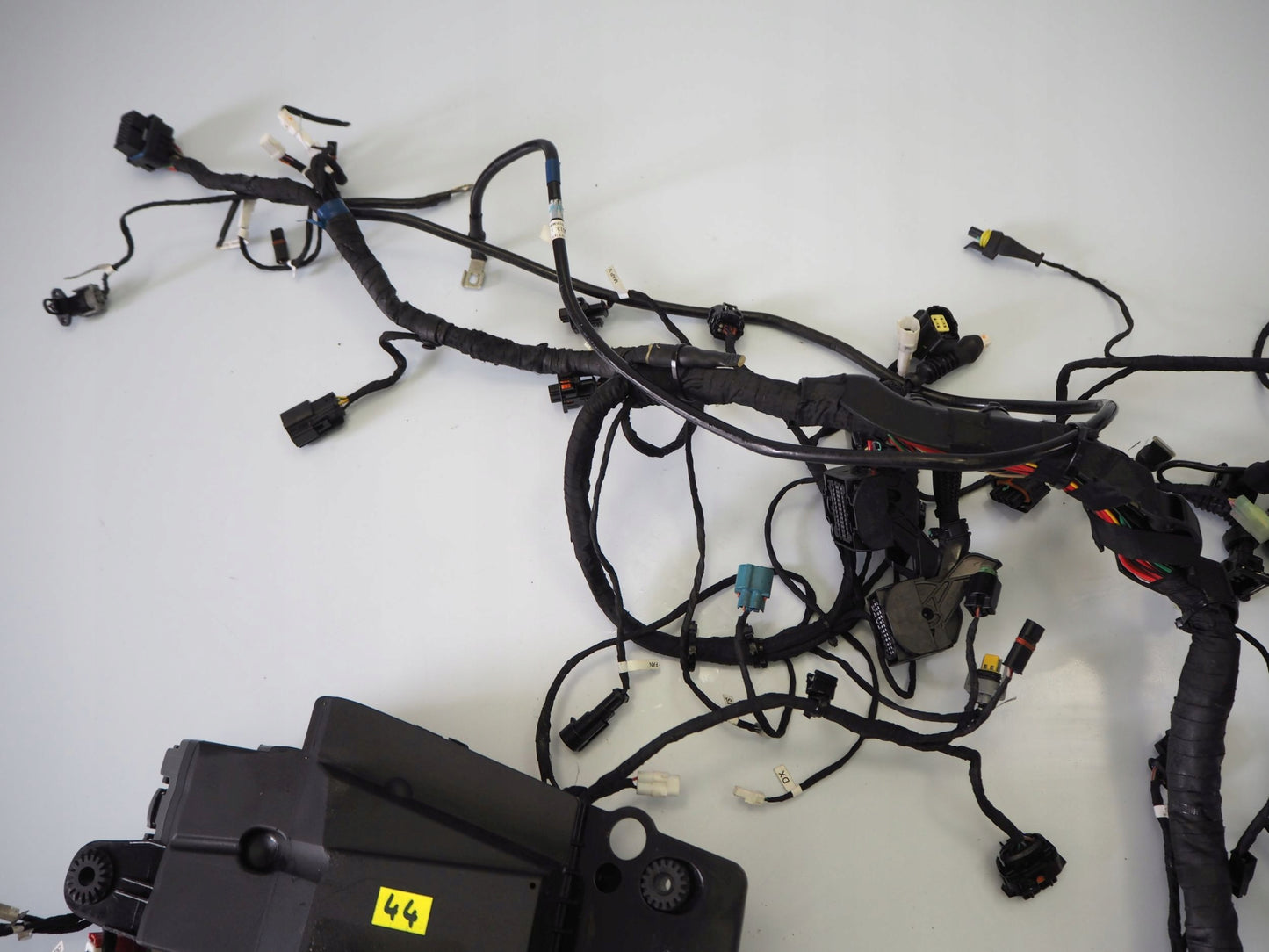 DUCATI MONSTER 937 21- Kabelbaum Wiring Harness 10