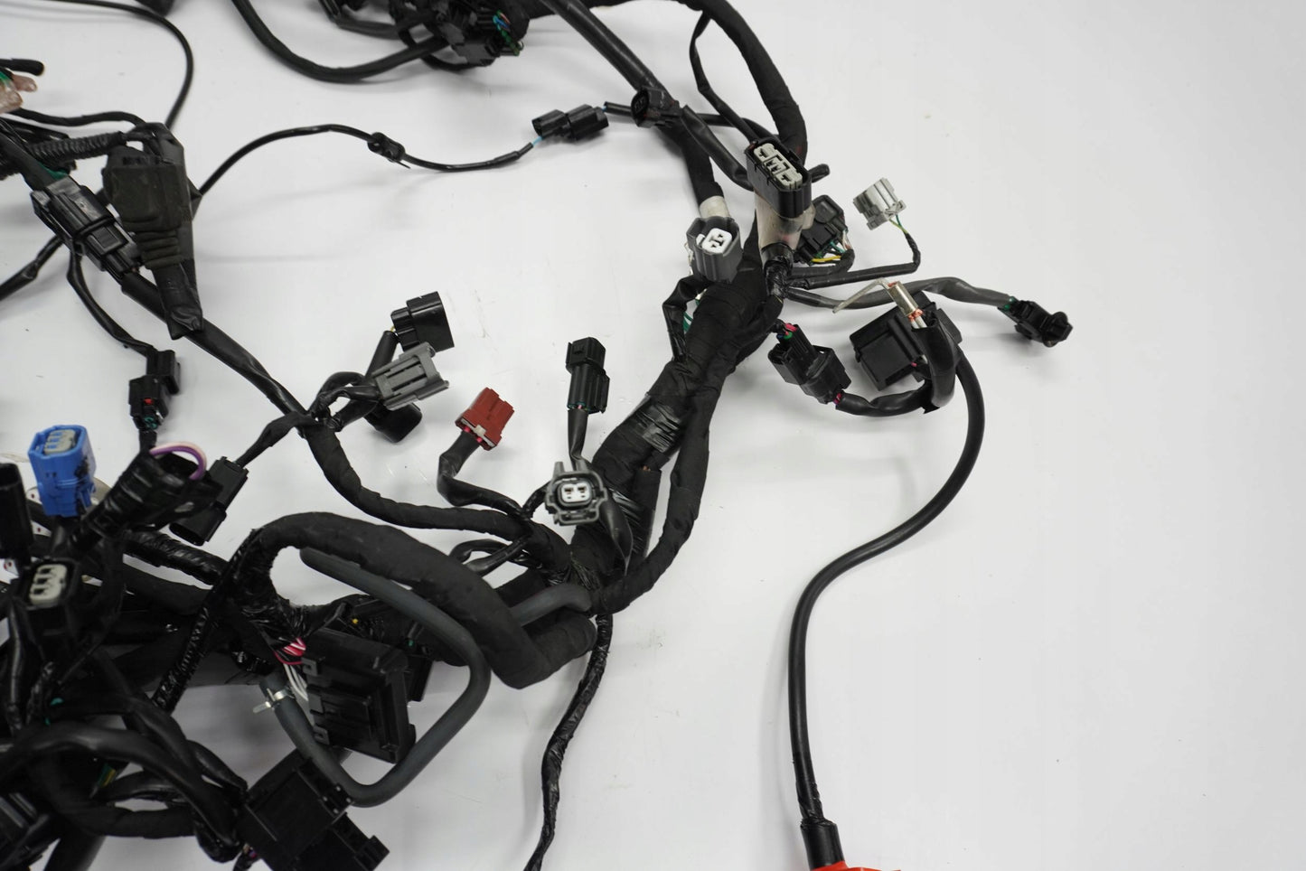 HONDA CRF 1100 L AFRICA TWIN 19- Kabelbaum Wiring Harness 6
