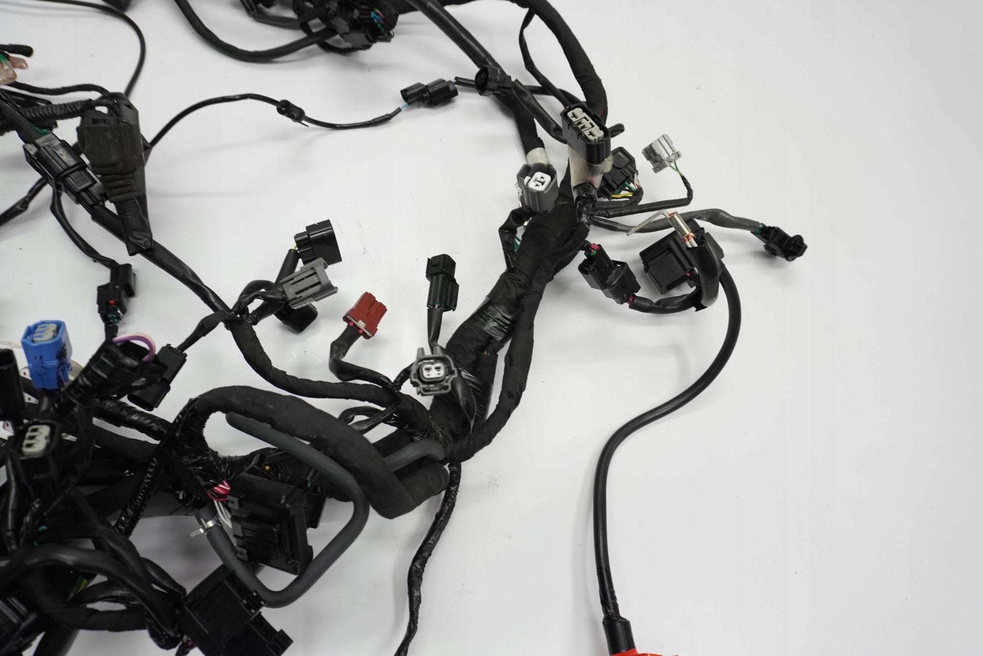 HONDA CRF 1100 L AFRICA TWIN 19- Kabelbaum Wiring Harness 6