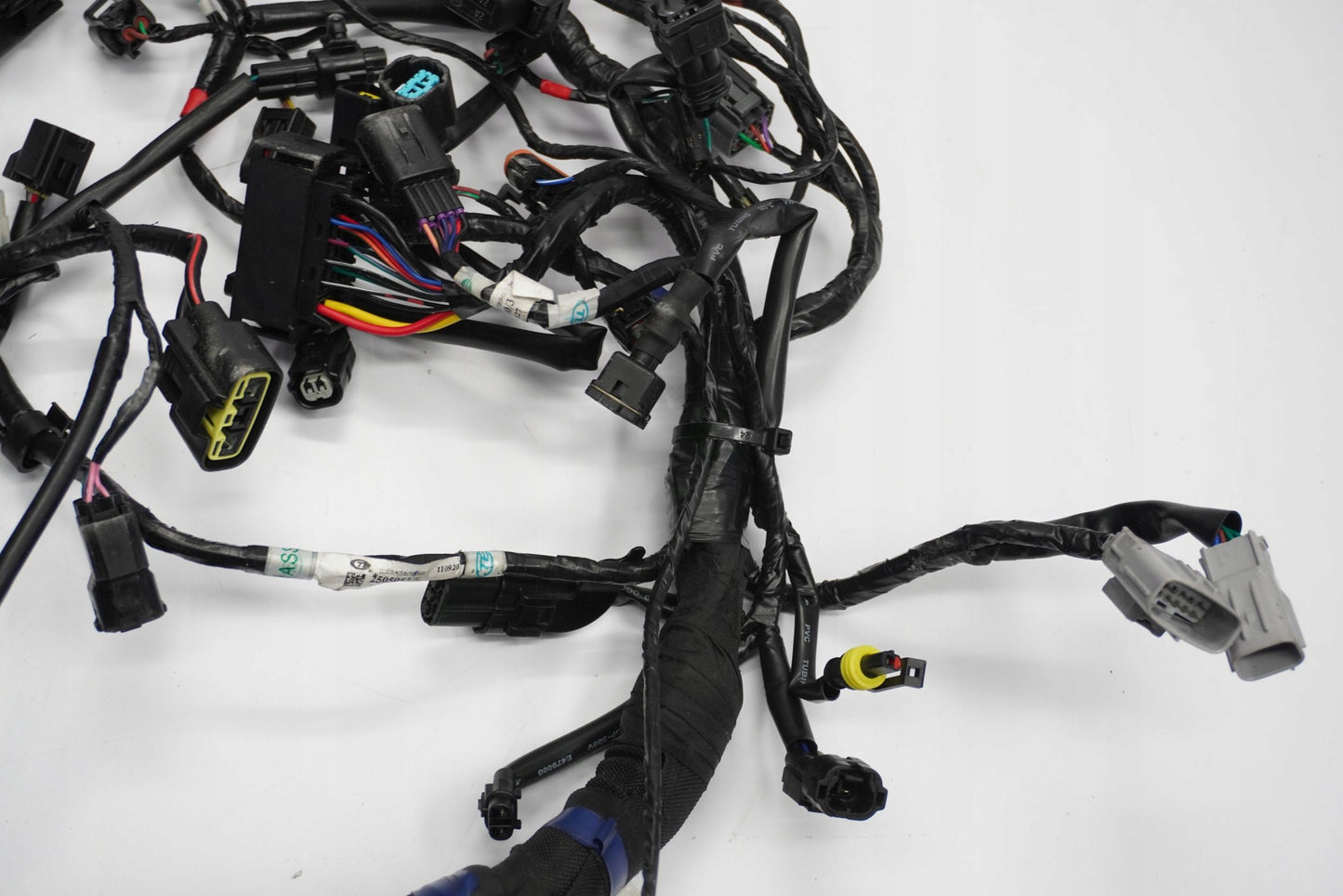 TRIUMPH TRIDENT 660 21- Kabelbaum Wiring Harness 13