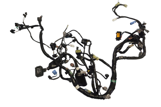 KAWASAKI Z-800 13-17 Kabelbaum Wiring Harness 1