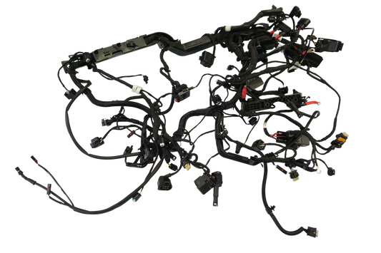 BMW R 1250 R 18- Kabelbaum Wiring Harness 1