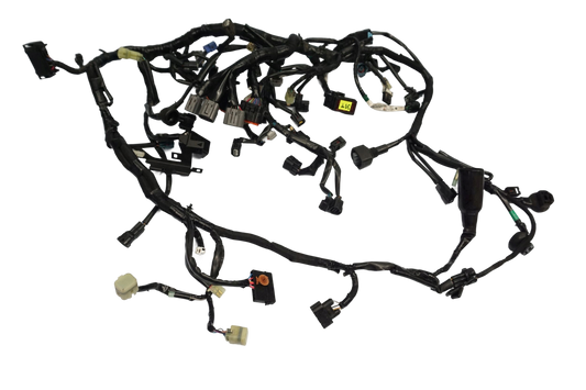 KAWASAKI Z-900 17-19 Kabelbaum Wiring Harness 1