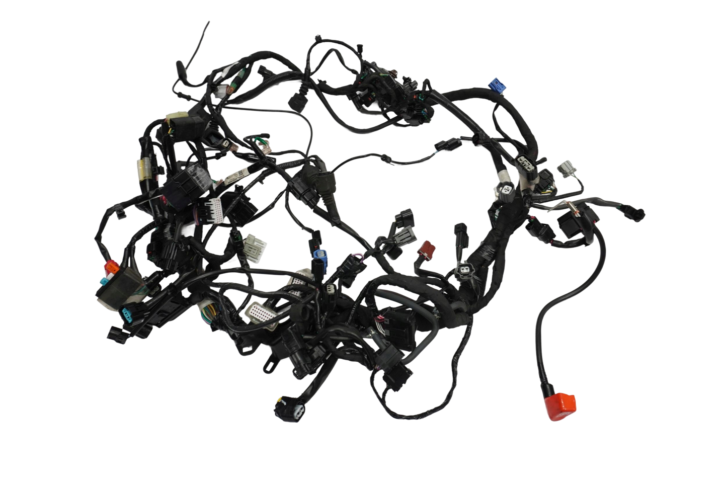 HONDA CRF 1100 L AFRICA TWIN 19- Kabelbaum Wiring Harness 1