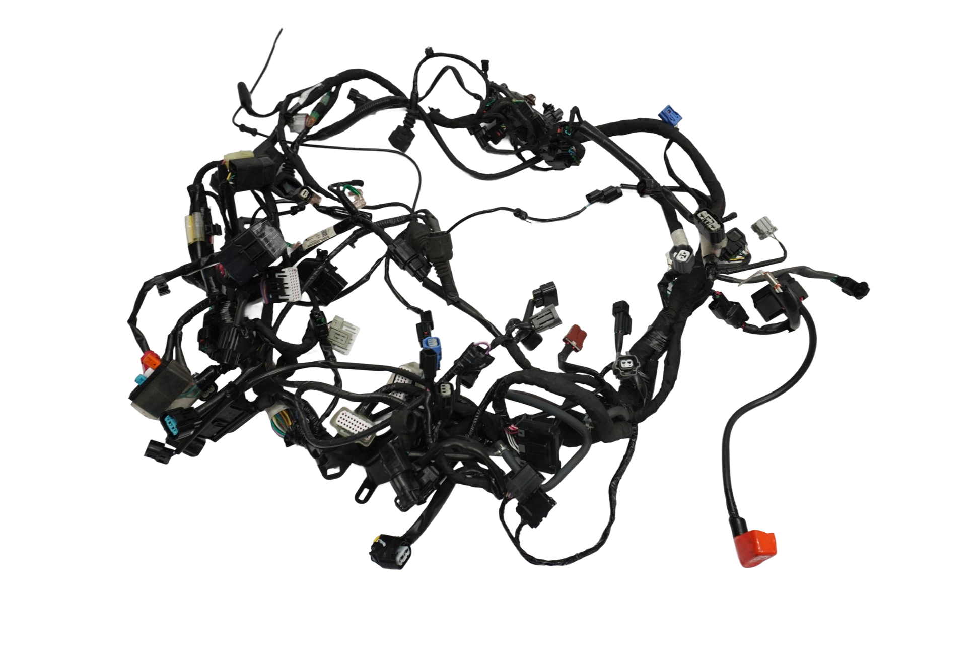 HONDA CRF 1100 L AFRICA TWIN 19- Kabelbaum Wiring Harness 1