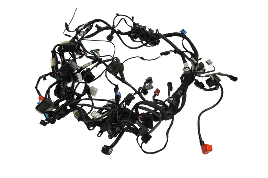 HONDA CRF 1100 L AFRICA TWIN 19- Kabelbaum Wiring Harness 1
