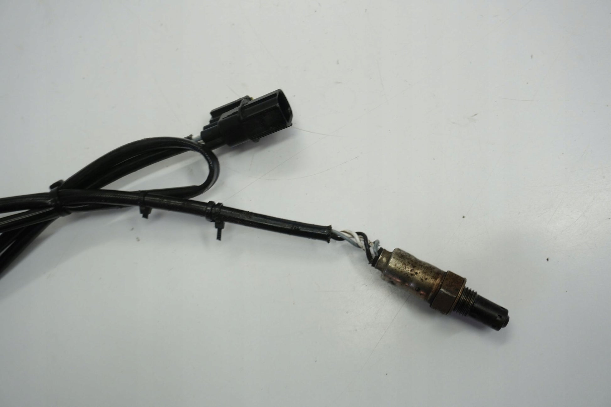 HONDA CBR 1000RR SC59 08-11 Lambdasonde O2 Sensor Sonde Sonda Lambda 4