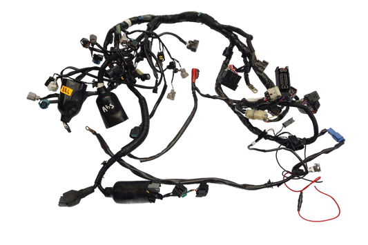 KAWASAKI Z-800 13-17 Kabelbaum Wiring Harness 1